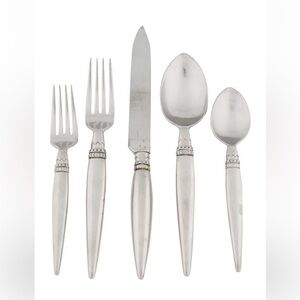 43 Piece Lisa Jenks Harlequin Flatware Set
